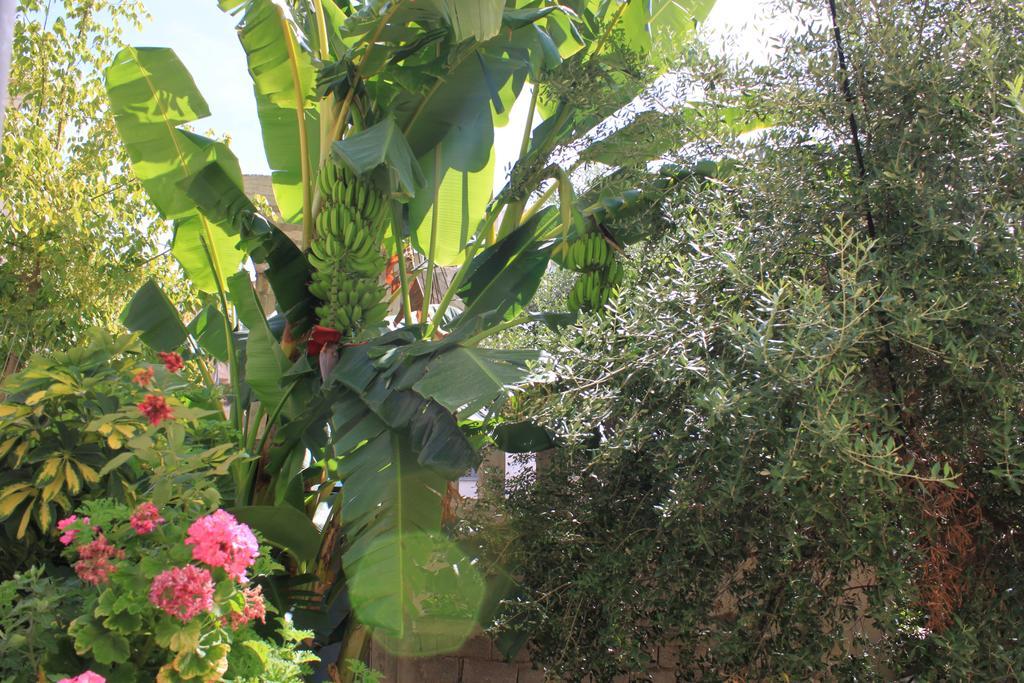 Villa Mucho Sarandë 外观 照片